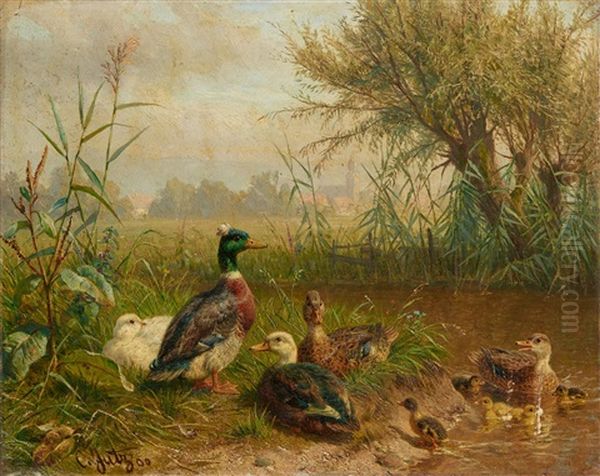 Birds By A Pond - view 1