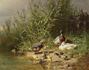 Ducks At The Shore by Carl Jutz the Elder