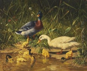 Enten Mit Jungen Am Wasser by Carl Jutz the Elder