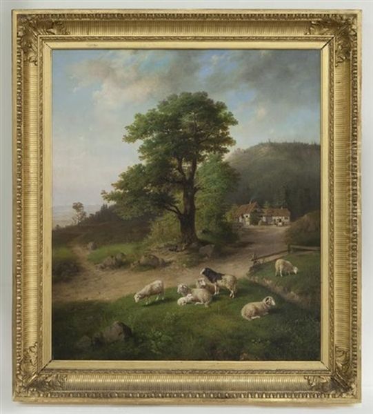 Untitled (image Of Farm Scene With Sheep) - view 1