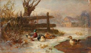 Ducks By A Pond Ducks By A Pond
