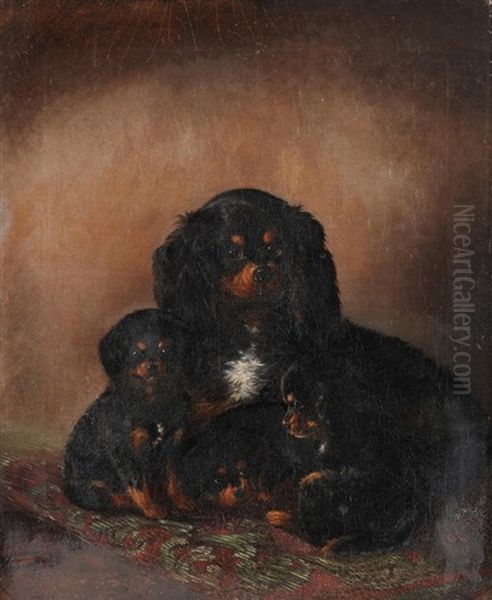 Cavalier King Charles-spaniel Mit Welpen - view 1