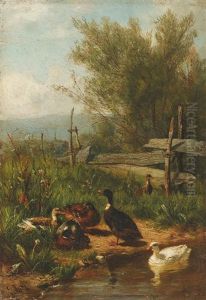 Enten Am Wasser by Carl Jutz the Elder