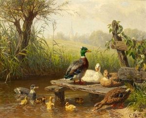 Enten Am Teich