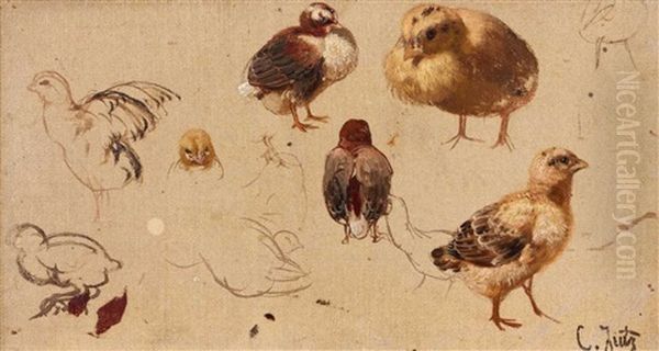 Verschiedene Kuken (preliminary Study) - view 1