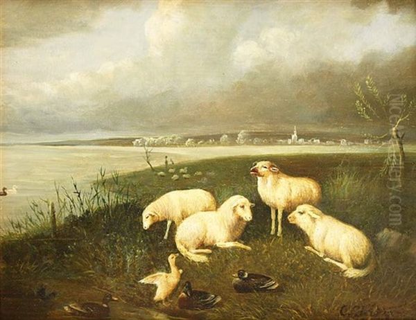 Schafe Mit Enten Am Seeufer, Im Hintergrund Ein Kleines Dorf - view 1