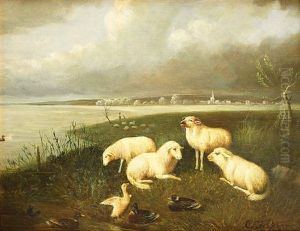Schafe Mit Enten Am Seeufer, Im Hintergrund Ein Kleines Dorf Schafe Mit Enten Am Seeufer, Im Hintergrund Ein Kleines Dorf