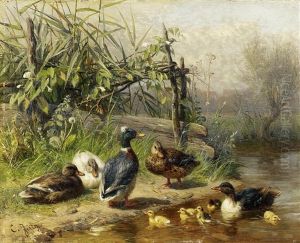 Enten Am Teich
