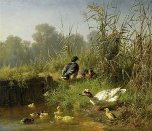 Enten Mit Ihren Kuken Im Schilf