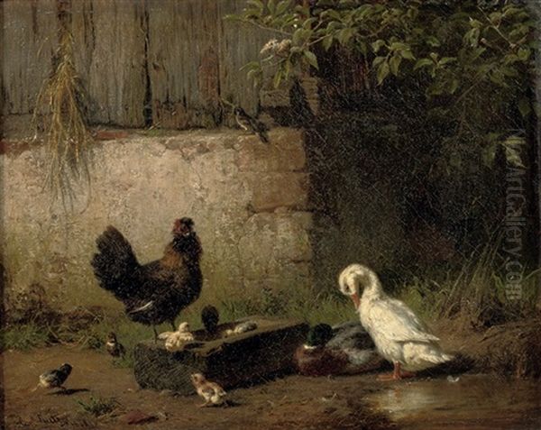 Poultry In The Farmyard - view 1