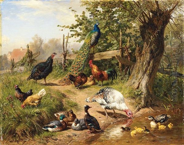Grosser Huhnerhof Mit Pfau, Truthahnen, Enten Und Huhnern - view 1