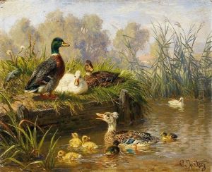Enten Am Weiher