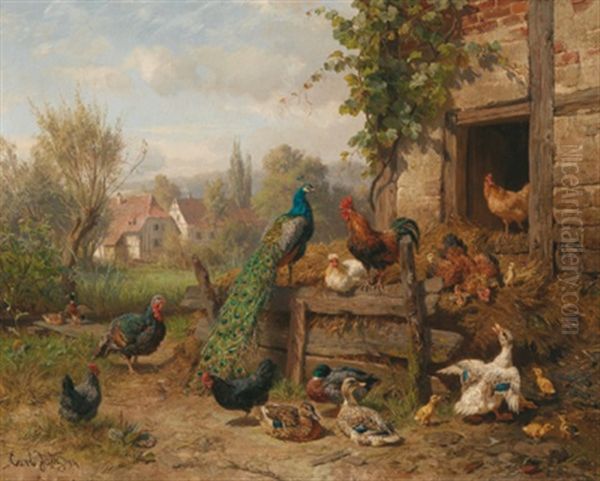 Ein Huhnerhof Mit Pfau Und Truthahn - view 1