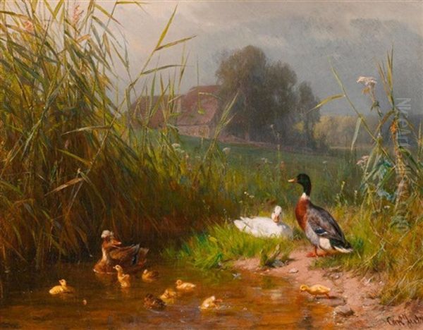 Entenfamilie Am Bachlauf - view 1