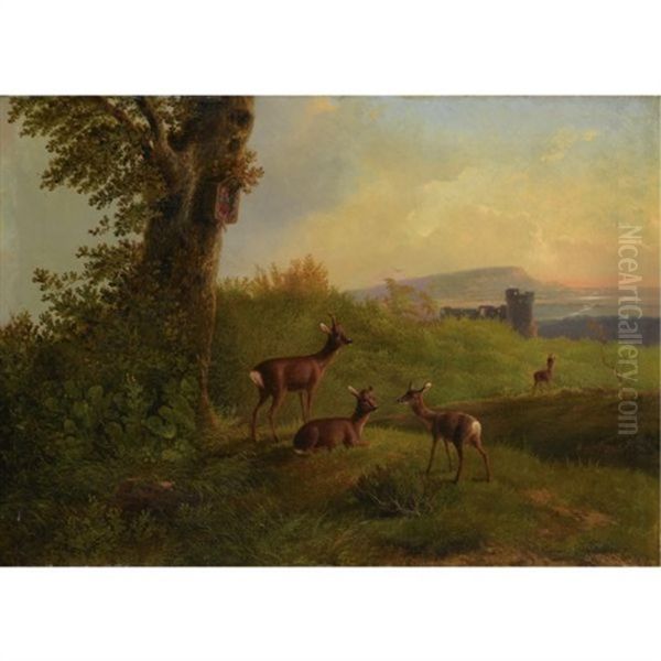 A Deer Family At Pasture - view 1