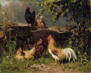Hahn Und Hennen Bei Einer Gartenmauer