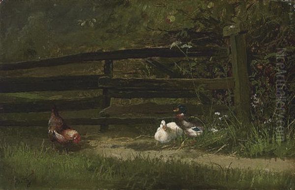 Chickens And Ducks On The Farm - view 1