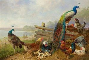 Federvieh Am Seeufer by Carl Jutz the Elder