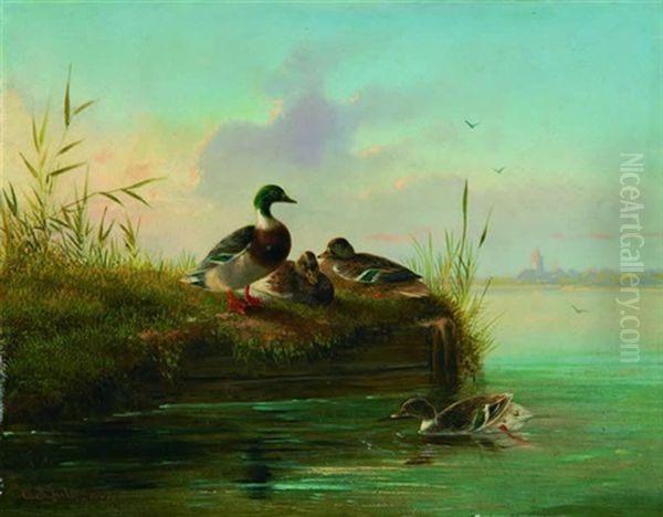 Enten Am Seeufer - view 1