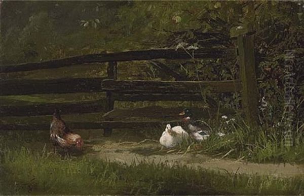 Chickens And Ducks At The Farm Fence - view 1