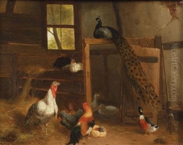 Fancy Fowl - view 1