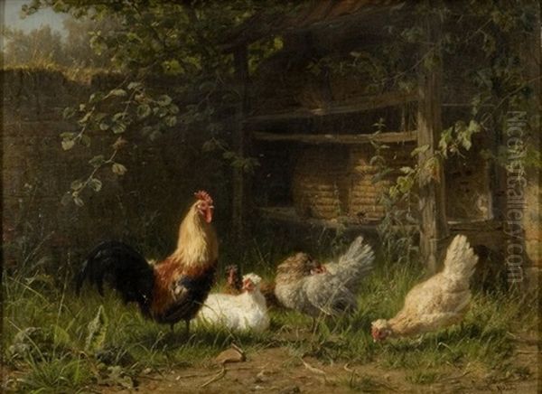 Fra En Honsegard Ved Sommertide, I Forgrunden Knejsende Hane Og Piggende Hons, I Baggrunden Bistader Med Svaermende Bier Under Halvtag - view 1