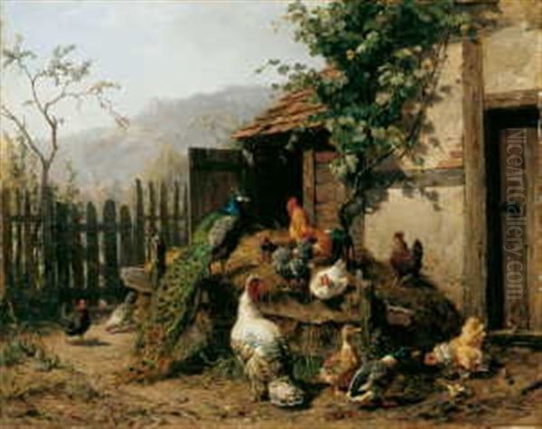 Der Huhnerhof. Auf Und Vor Einem Misthaufen Huhner, Enten, Ein Pfau Und Ein Truthahn - view 1