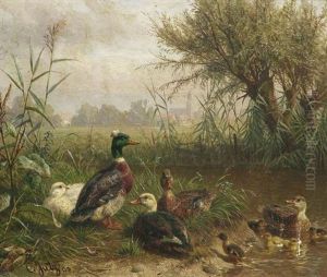 Federvieh Am Ufer Eines Teiches by Carl Jutz the Elder