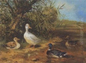 Enten Am Ufer Eines Teiches by Carl Jutz the Elder