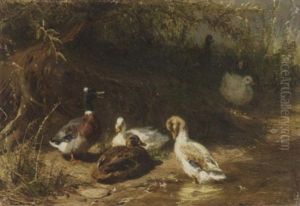 Federvieh Am Teichufer by Carl Jutz the Elder