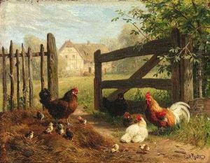 Huhnerfamilie Vor Einem Geoffneten Weidegatter. Im Hintergrund Fachwerkhaus Im Sonnenlicht Huhnerfamilie Vor Einem Geoffneten Weidegatter. Im Hintergrund Fachwerkhaus Im Sonnenlicht