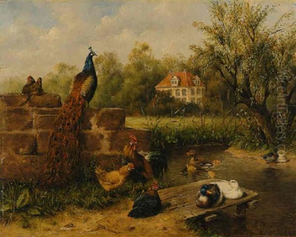 Pfau, Hahn, Huhner, Erpel, Enten Und Kuken - view 1