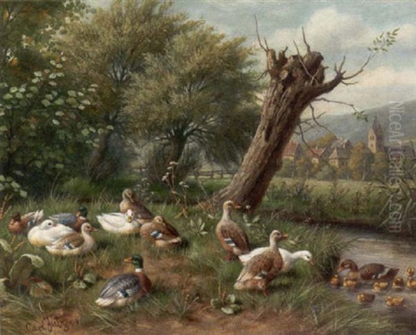 Enten Am Bachufer Vor Einem Dorf - view 1