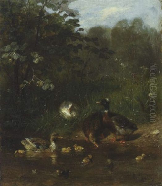 Enten, Erpel Und Kuken - view 1
