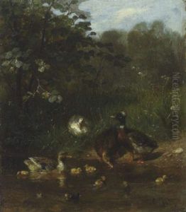 Enten, Erpel Und Kuken