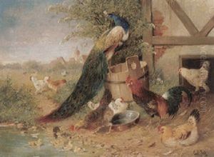 Enten, Kuken, Huhner, Hahn Und Pfau Im Hof by Carl Jutz the Elder