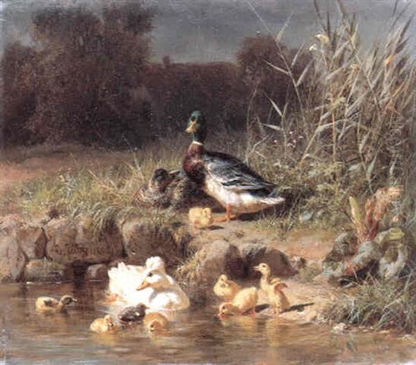 Enten Am Wasser - view 1