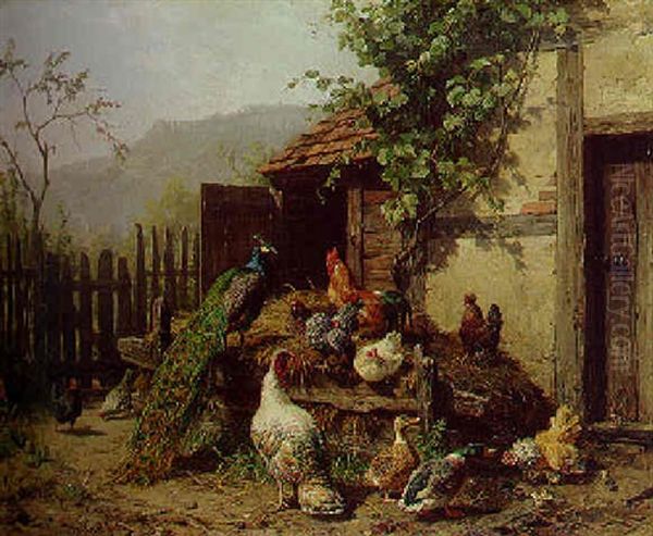 Hinter Dem Hause. Pfau, Huhner Und Enten - view 1