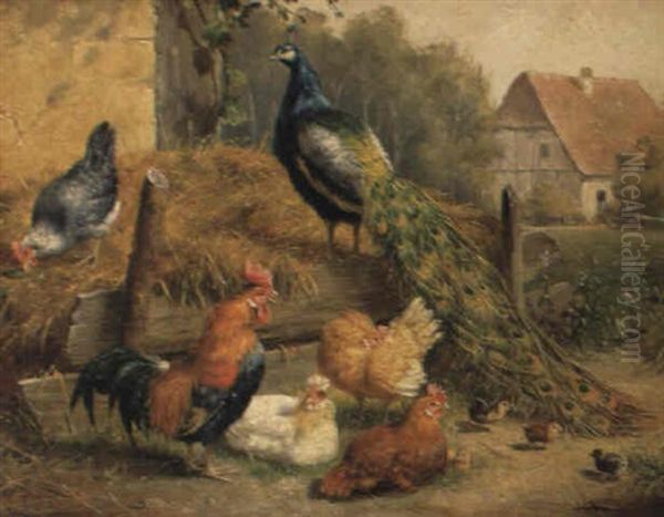 Pfau, Hahn, Huhner Und Kuken - view 1
