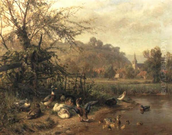 Enten Am Bachufer - view 1