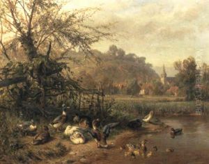 Enten Am Bachufer