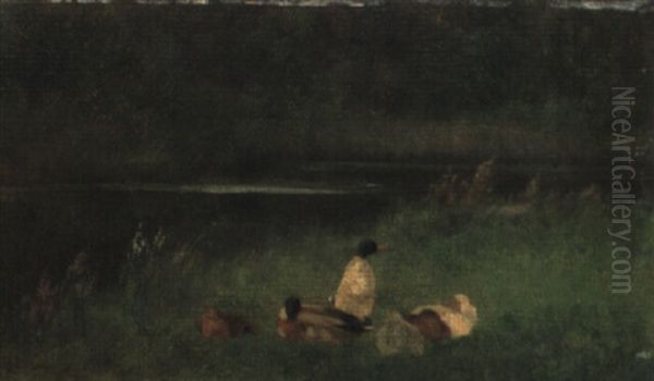 Ducks On A River Bank - view 1