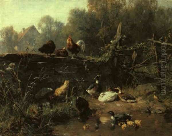 H_hner Und Enten An Einem Teich - view 1