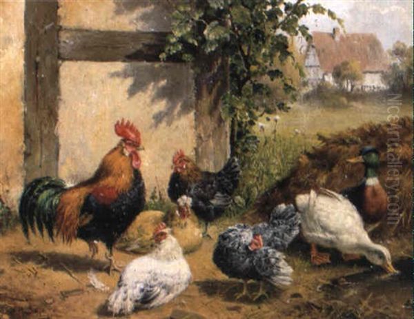 H_hner, Hahn Und Enten Auf Dem Hof - view 1