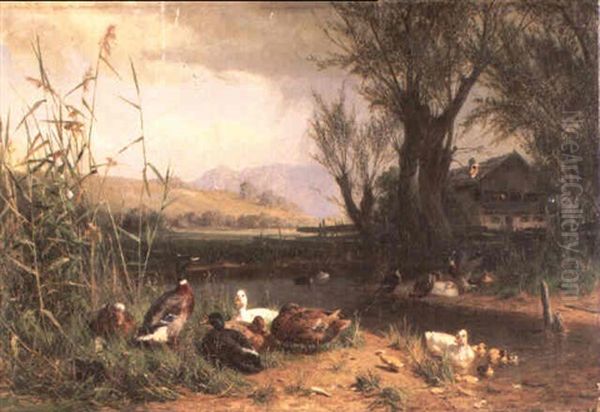 Ducks By A River In A Country Landscape - view 1