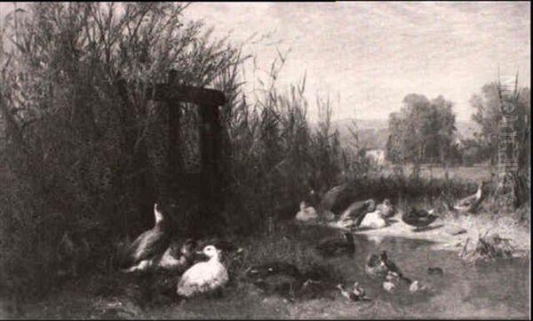 Ducks In A Stream With Farmhouse In The Distance - view 1