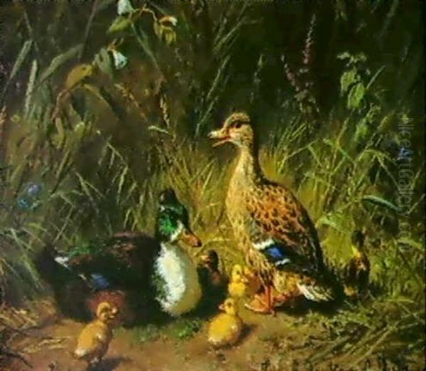 Entenfamilie - view 1