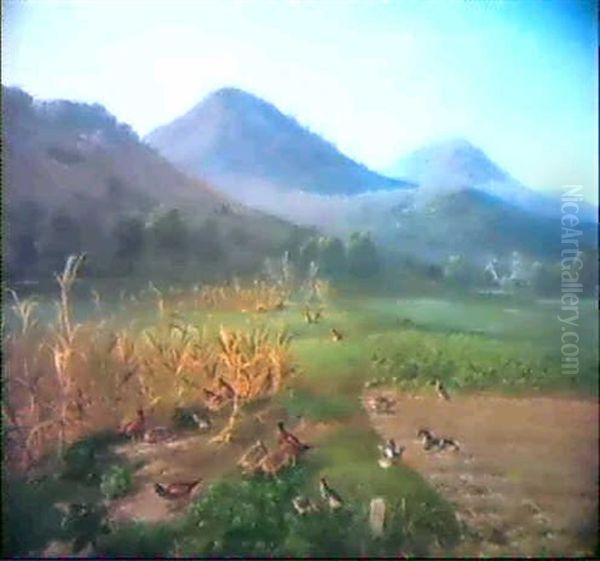 Fasane Und Hasen Im Maisfeld, Am Rubenacker Und Im Wiesengrund - view 1