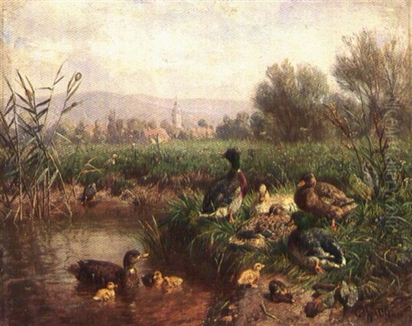 Ducks By A Pond - view 1