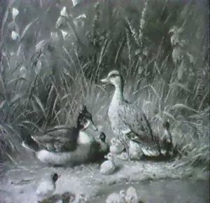 Wildentenfamilie Wildentenfamilie
